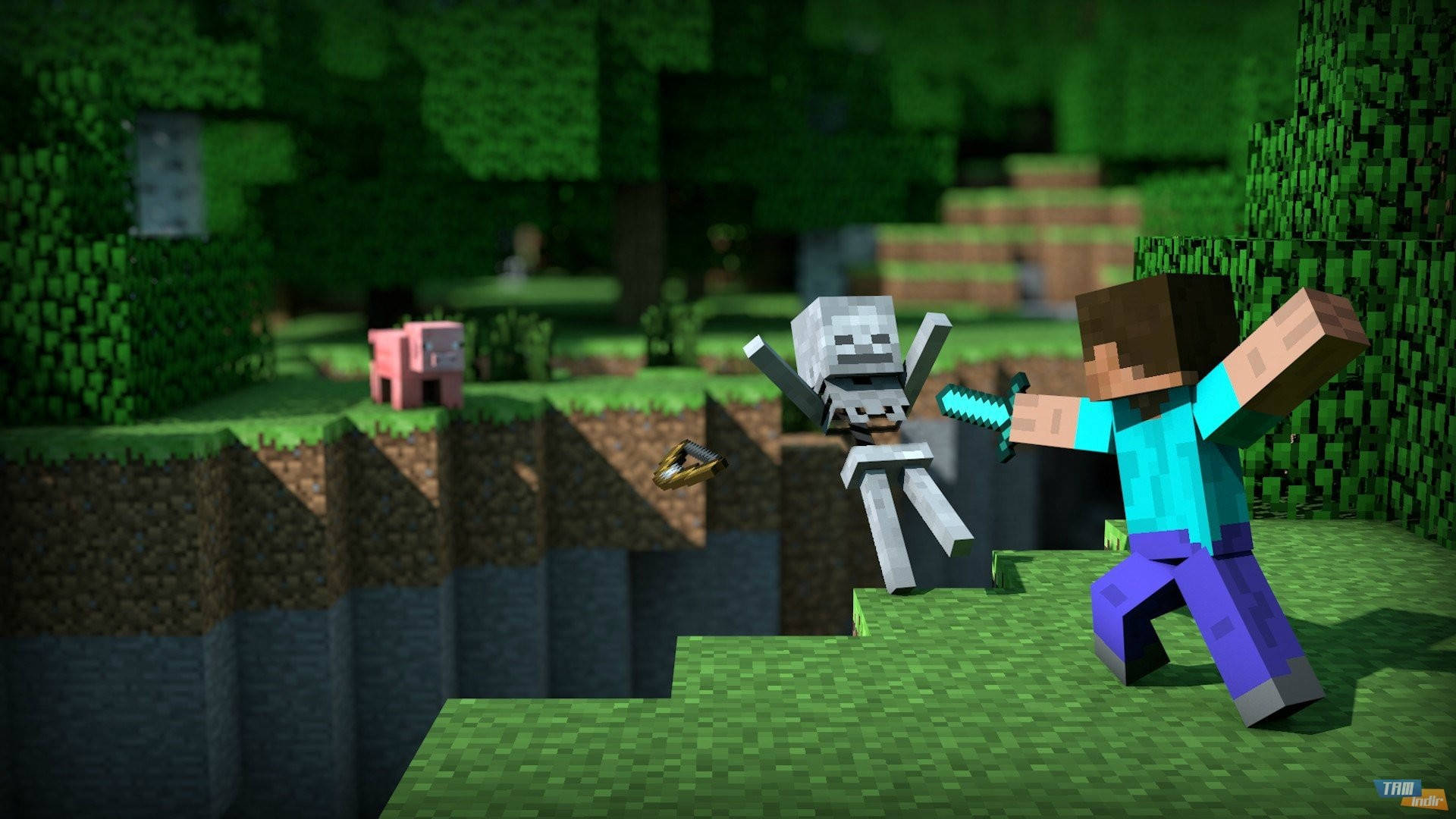 Servidor economico de Minecraft en Chile.